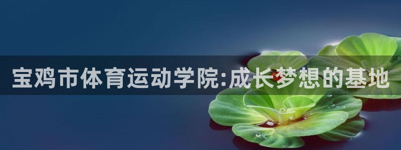 JJB竞技宝官网下载开户：宝鸡市体育运动学院:成长梦