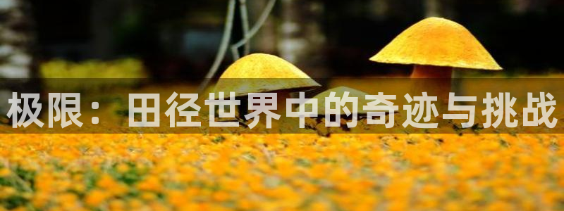 JJB竞技宝官网下载软件：极限：田径世界中的奇迹与挑