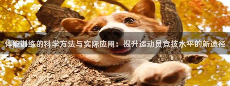 JJB竞技宝官方正版app娱乐代理怎么样：体能训练的科学方法