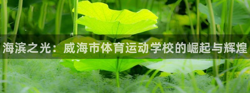JJB竞技宝官网下载招商电话是多少啊：海滨之光：威海