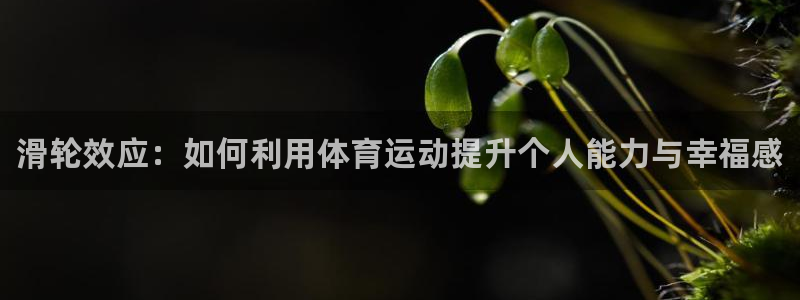 JJB竞技宝官网下载平台注册要钱吗是真的吗：滑轮效应