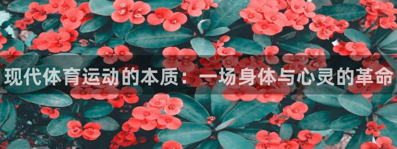 JJB竞技宝官网下载平台注册流程视频：现代体育运动的