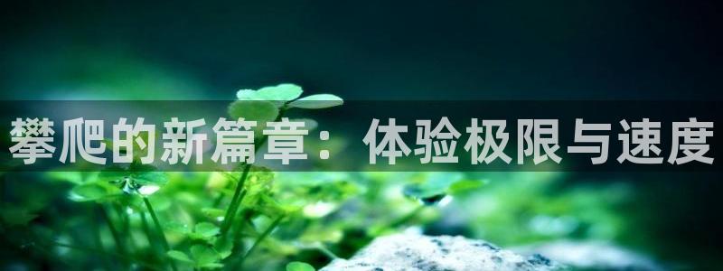 JJB竞技宝官方正版app娱乐平台：攀爬的新篇章：体