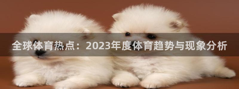 JJB竞技宝官方正版app集团简介：全球体育热点：2023年