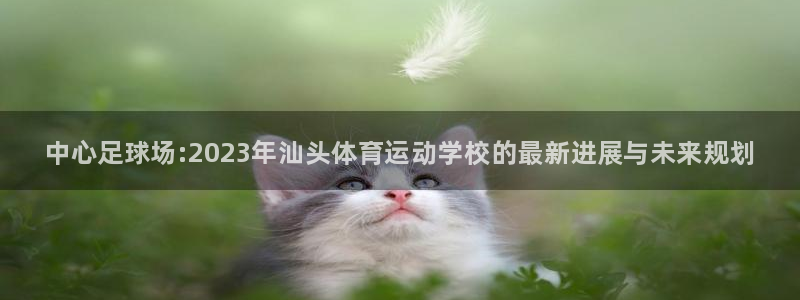 JJB竞技宝官网下载招商电话号码是多少啊：中心足球场