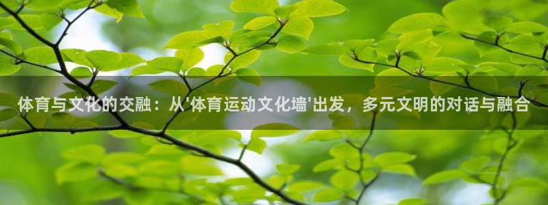 JJB竞技宝官网下载招商电话号码查询是多少：体育与文