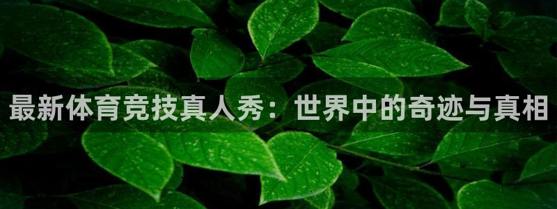 JJB竞技宝官网下载招商电话地址查询：最新体育竞技真