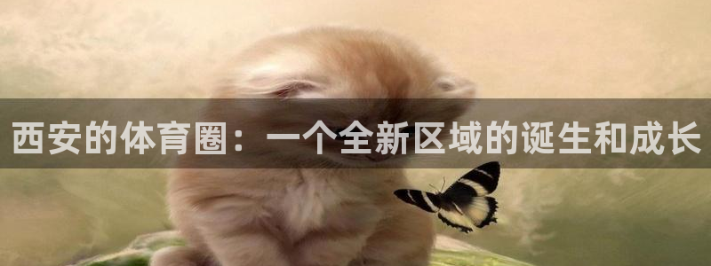 JJB竞技宝官网下载招商电话号码查询是多少