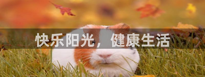 JJB竞技宝官方正版app娱乐40996