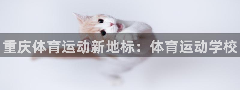 JJB竞技宝官方正版app娱乐网站：重庆体育运动新地标：体育