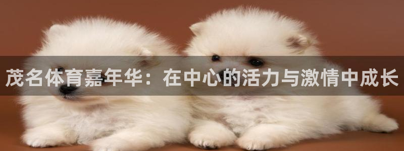 JJB竞技宝官方正版app集团E.ON：茂名体育嘉年