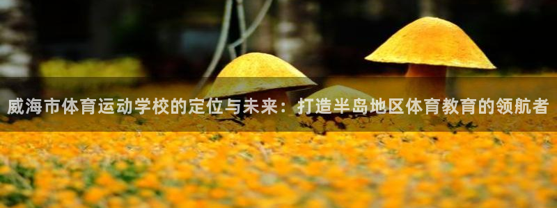 JJB竞技宝官网下载招商电话：威海市体育运动学校的定位与未来