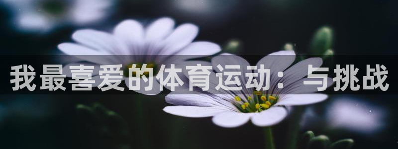 JJB竞技宝官方平台体育：我最喜爱的体育运动：与挑战