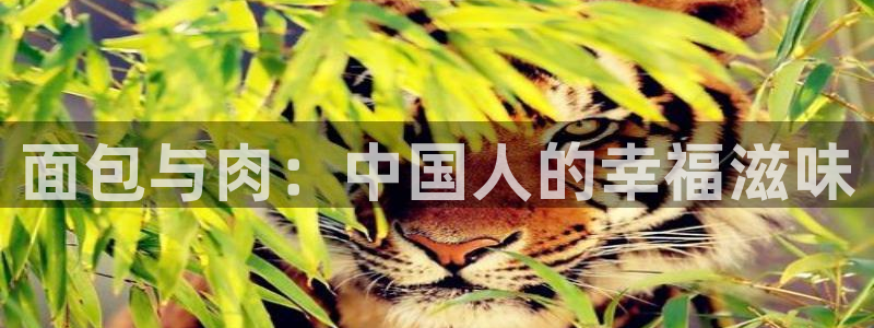 stv五星体育直播：面包与肉：中国人的幸福滋味