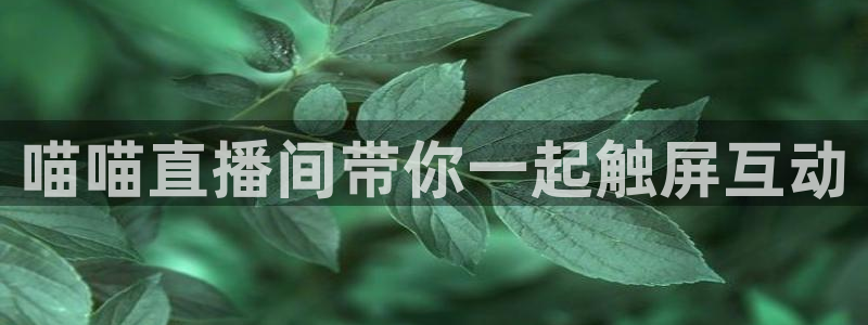 可以看五星体育直播的app：喵喵直播间带你一起触屏互动