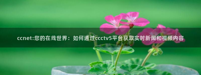五星体育频道f1：ccnet:您的在线世界：如何通过ccctv5平台获取实时新闻和视频内容
