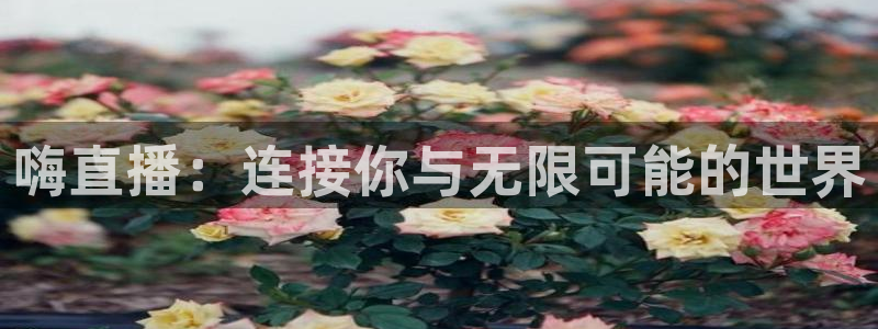 五星体育陈曦：嗨直播：连接你与无限可能的世界