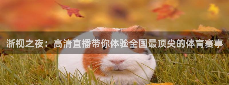 五星体育回放：浙视之夜：高清直播带你体验全国最顶尖的体育赛事