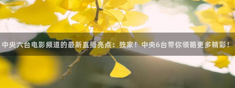 张博 五星体育：中央六台电影频道的最新直播亮点：独家！中央6台带你领略更多精彩！