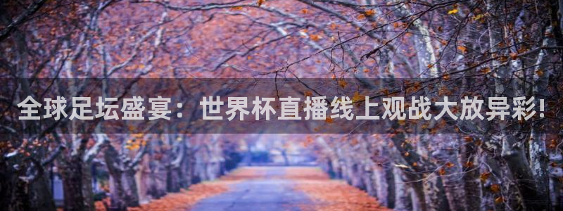 五星体育飞哥：全球足坛盛宴：世界杯直播线上观战大放异彩!