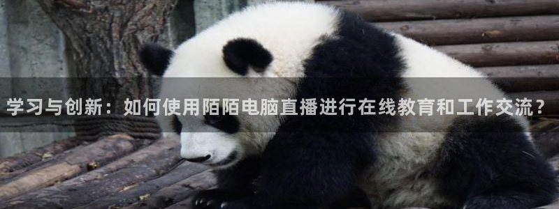 上海五星体育节目：学习与创新：如何使用陌陌电脑直播进行在线教育和工作交流？