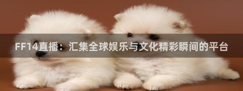 五星体育网球直播：FF14直播：汇集全球娱乐与文化精彩瞬间的平台