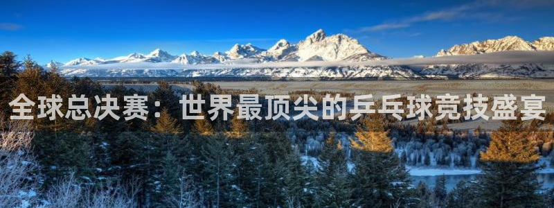 五星体育直播在线免费观看：全球总决赛：世界最顶尖的乒乓球竞技盛宴
