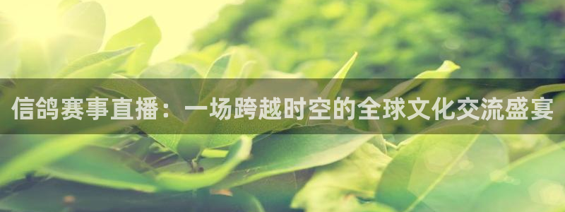 上海五星体育频道直播：信鸽赛事直播：一场跨越时空的全球文化交流盛宴