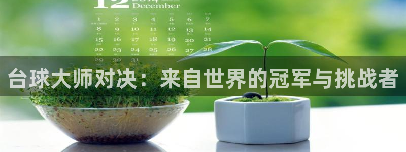 五星体育在线直播app：台球大师对决：来自世界的冠军与挑战者